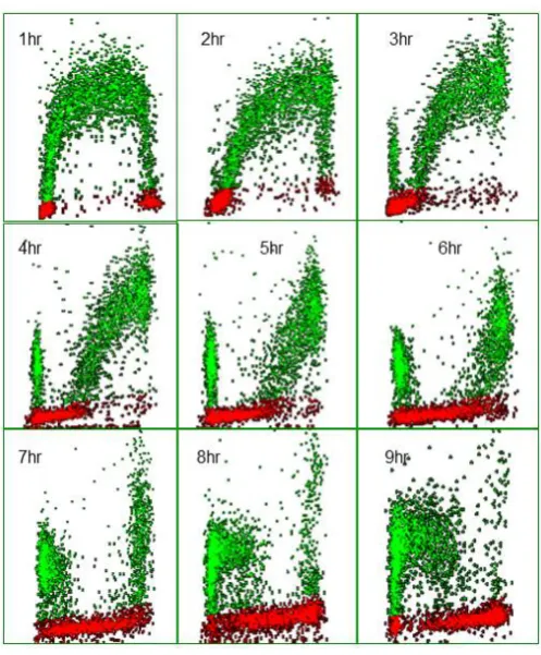 Figure 5. Bivariate distributions of BrdUrd (y-axis) versus DNA content (x-axis) of V79 cells pulse-labeled with 10 μM BrdUrd for 20 minutes and then harvested hourly thereafter