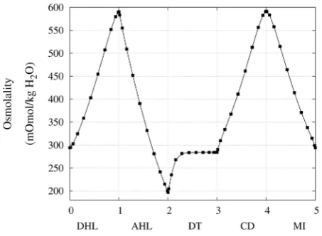 Figure 3. Normalized flow rate profile along short-looped nephron and outer medulla.                               