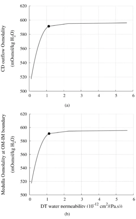 Figure 7. Osmolality profile along CD for different cases: a) base-case, b) Na+  pump switched off, c) Cl−  pump switched off, and d) both active pumps switched off