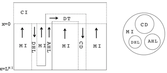 Figure 1. Schematic of central core model. Left: Tubules (DHL, AHL, DT and CD) and surrounding interstitium (CI and MI); Dashed lines: water per- meable boundaries; Arrows: steady-state flow directions