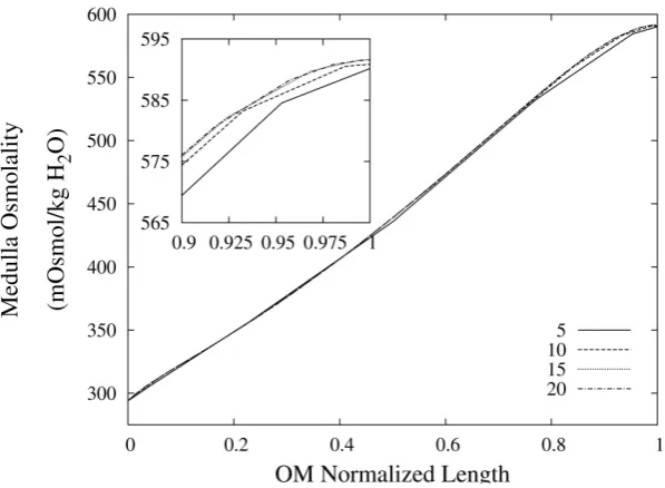 Figure 2. Medulla osmolality profile as a function of normalized medulla length, for different spatial grid size
