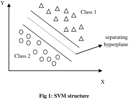 Fig 1: SVM structure 