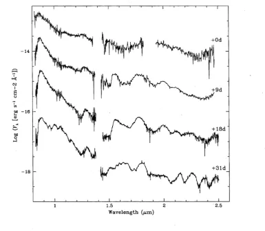 Fig. 2.24: Infrared spectral sequence in the bands I to K taken at the UKIRT. All the spectra but the one at +9d have been shifted by an arbitrary quantity for better display.