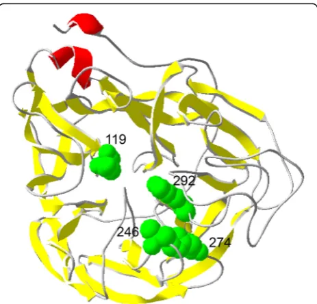 Fig. 2 Crystal structure display of the four neuraminidase drug resistancesites of human infection with highly pathogenic avian influenza H7N9virus
