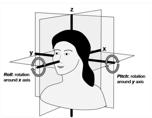 Figure 1:  Schematic illustration of the three orthogonal planes defining three-dimensional space: frontal or roll plane, sagittal or pitch plane and horizontal or yaw plane.