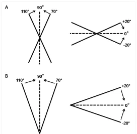 Figure 1 A, B: metal rod (tactile condition) which they had to adjust to their subjective vertical or horizontal