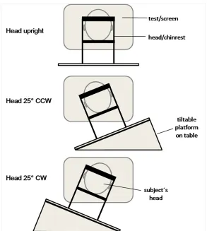 Figure  2:  conditions: with the subject’s head upright (0position was modulated and stabilized by a tiltable head-and-chin-rest; the head-and-chin-rest was attached to the experimental table (upright head condition) or to a wedge-shaped block on the table Experimental  setup  in  the  visual-  and  tactile-spatial  tests  in  three  head  orientation ° head tilt), or with the head tilted 25° CW or CCW; head (CW or CCW head orientation condition).