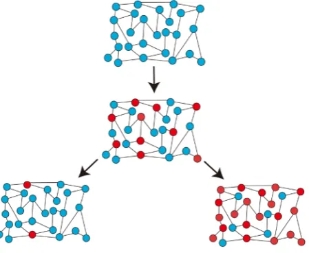 Figure 1. A blue vertex indicates strategy B, while a red vertex indicates strategy A