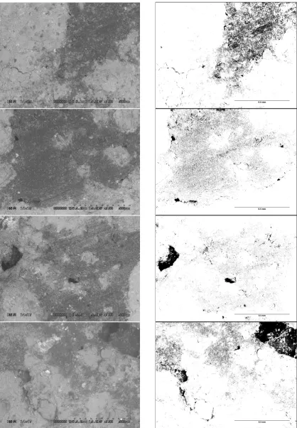 Figure 4. SEM (left) and binary image (right) of 30% RAP, 70% RCCA with 6% cement