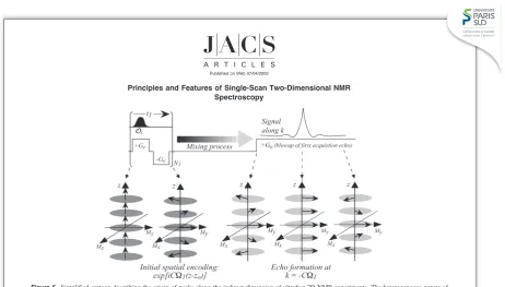 Figure 5. Simplified cartoon describing the origin of peaks along the indirect dimension of ultrafast 2D NMR experiments