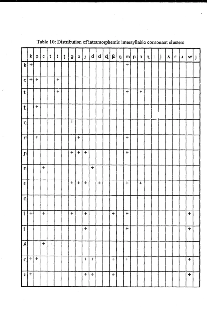Table  10: Distribution of intramorphemic intersyllabic consonant clusters  k  p  c  t  t  t  g  b  f  d  d  ct