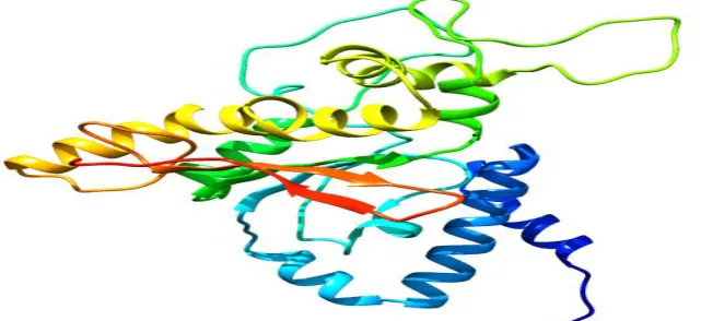 Fig 2a. M-protein of Bourbon Virus modeled by Modeller9v15. 
