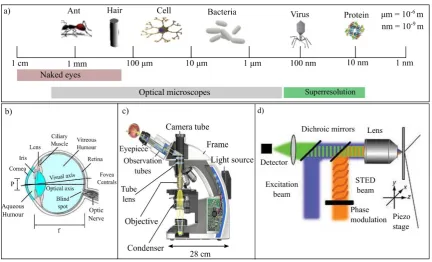 Figure 1:4: Performance of an eye vs optical microscopes to depict the capabilities of optical microscopes