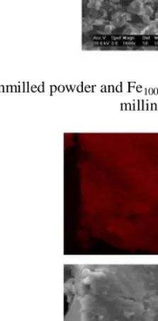 Fig. 3. SEM micrographs of unmilled powder and Fe100-xAlx milled powders for various Al content after 35 h of milling time