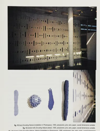 fig. 12 (top) Encoding 