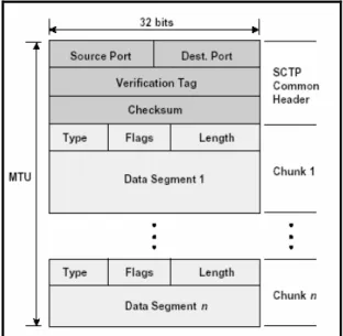 Gambar 1. Format Paket SCTP [5] 