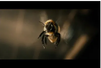 Figure 31: The Desolation of Smaug – close up of bee 