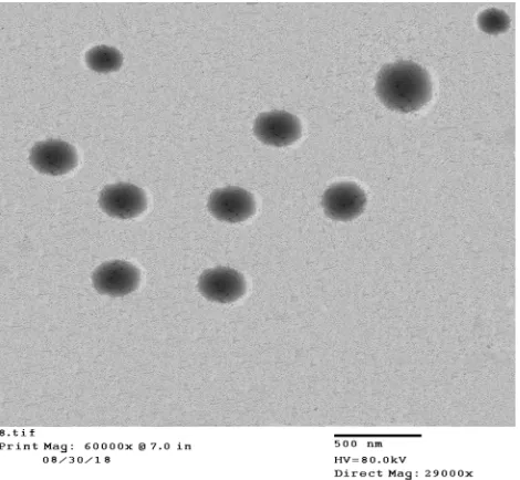 Figure 2 Transmission electron micrograph of the prepared transferosomes F5when stained with uranyl acetate (10%) with scale 500 nm.