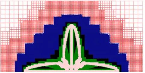 Fig. 2. Typical mesh structure for a dendrite growing on a mesh with a maximum of 11 levels of refinement