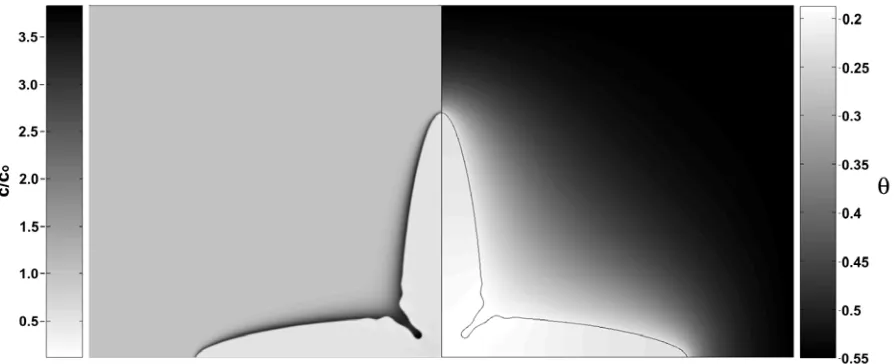 Fig. 3. Thermal and solutal fields around a dendrite growing with a Lewis number of 40 (the solid-liquid 