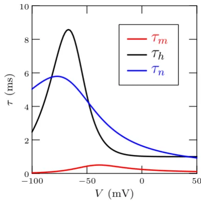 Fig. 1.Time constant of the dynamics of the gating variables showadmissible short time scale τm.