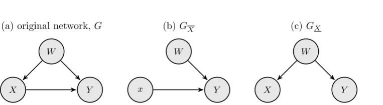 Figure 2.13: An example of rule 2 with a single intervention (Yalso inﬂuencesP (Y ⊥⊥ X|W) in GX=⇒Y |do(X), W) = P (Y |X, W)