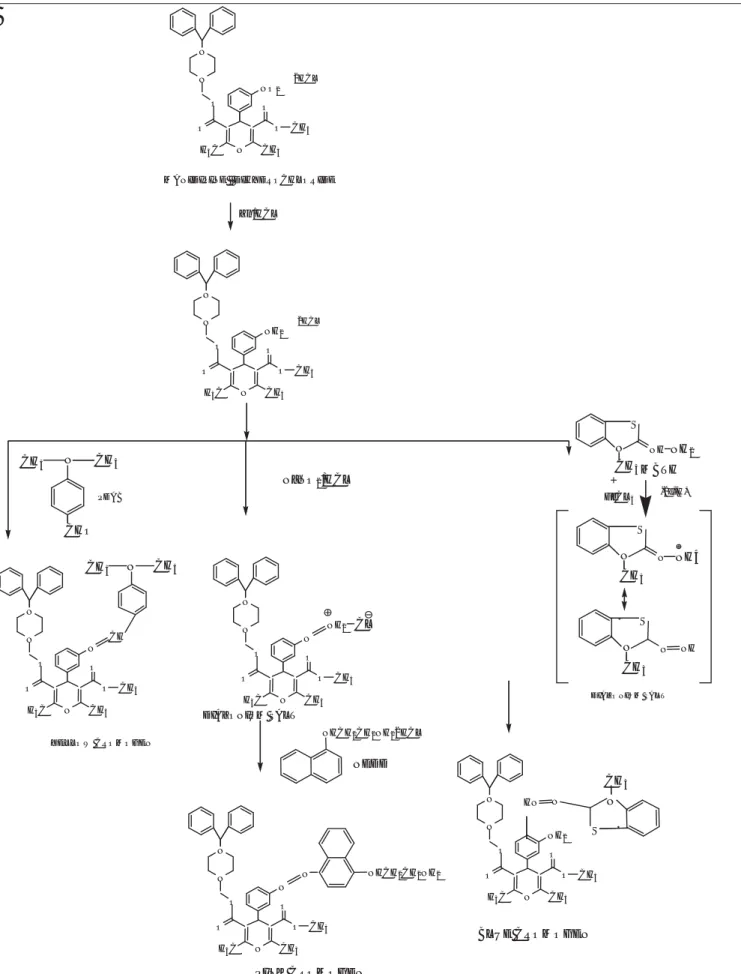 Figure 2: Reaction mechanism for methods A, B and C chromogenNNNOOOOCH3H3CNO2CH32HCLZn/HCLNNNOOOOCH3H3CNH2CH32HCLCHONCH3CH3PDABNNNOOOOCH3H3CNCH3CHNCH3CH3YELLOW CROMOGEN NHCH 2 CH 2 NH 2NNNOOOOCH3H3CNCH3NH2NaNO2/HCLCLNNNOOOOCH3H3CNCH3NPINK CROMOGENNHCH2CH2N