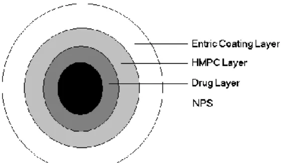 Figure 1. Schematic of the Multi-layer Film Coated Pellet of Omeprazole 