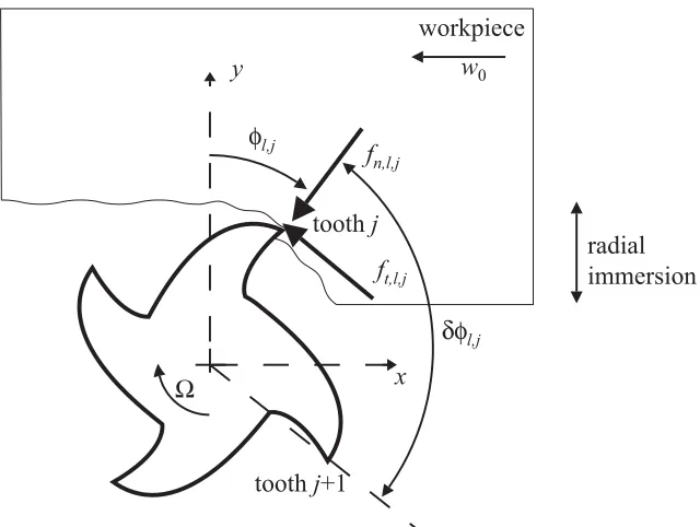 Figure 3: Forces on axial slice l of a tool (up milling). 