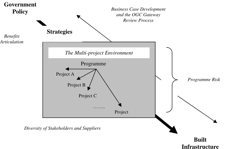 Figure 1 – A Conceptual Model of Programme Management 