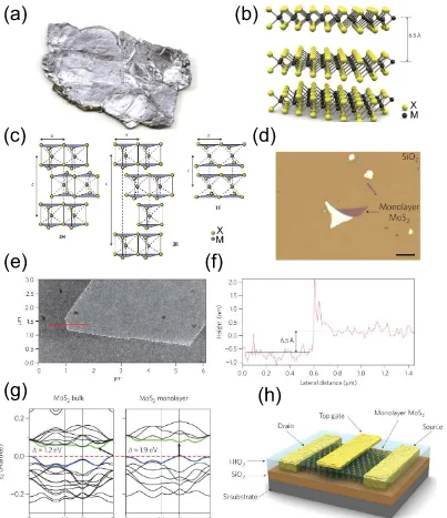 Figure 1.4: Basic properties of 2D TMDCs.(b) Schematic of the three-dimensional image of a typical MXthe yellow atoms represents for chalcogen (X) and the grey ones as metal atoms(M) [31]