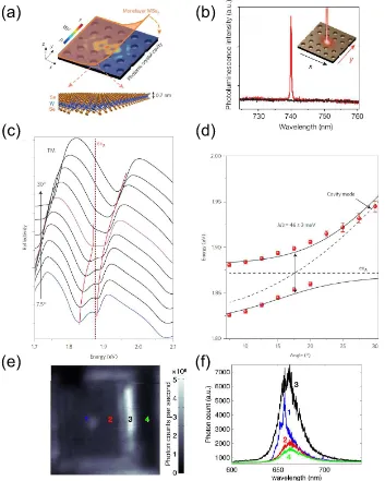 Figure 1.11: Coupling of 2D TMDCs with photonic cavities. (a) Integration of a mono-layer WSe2 with a photonic crystal cavity