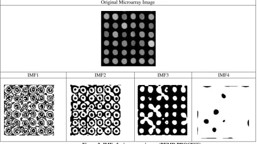 Figure 2: IMF of microarray image (BEMD PROCESS) 