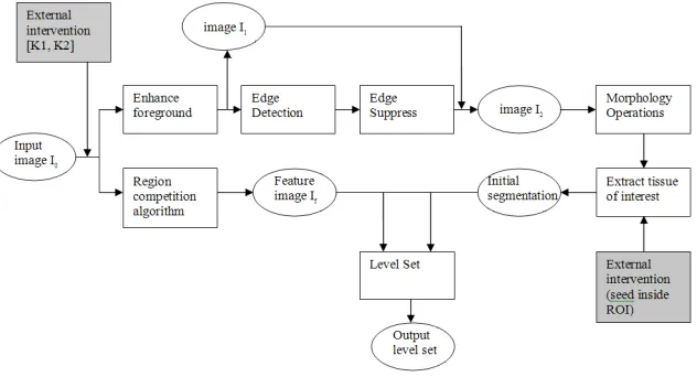 Fig. 1. Work flow 
