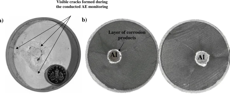 Fig. 3. Visible cracks formed at the (a) surface and (b) cross-section of the BFS/OPC 