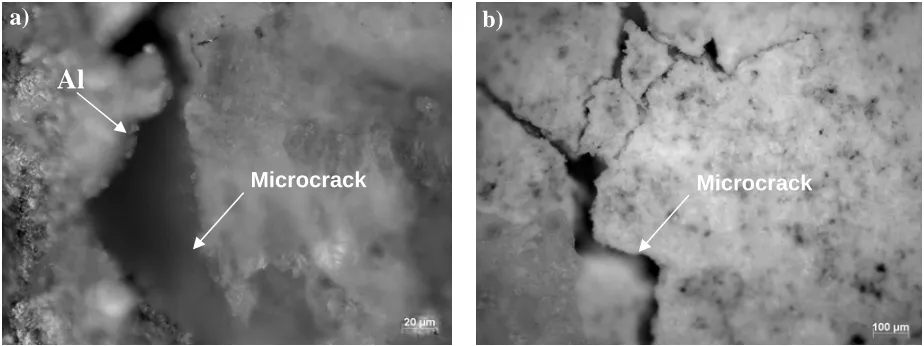 Fig. 4. Micrographs showing (a) splitting crack between the Al rod and corrosion products 