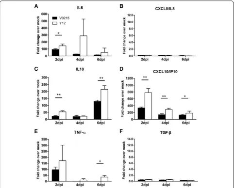 Fig. 6 Inoculation of BALB/c mice with influenza B viruses causes inflammation in tissues of the respiratory tract