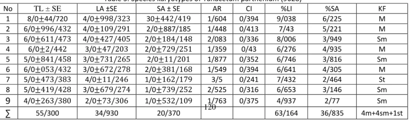 Table 3. Species karyotypes of Tanacetum parthenium (9628) 