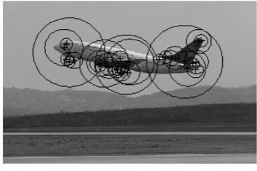 Figure 2 shows how SURF features were detected in every individual image. 