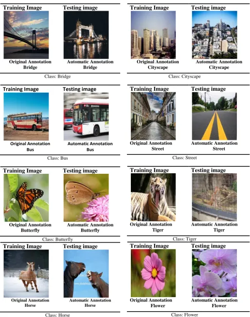 Figure 4: Some examples to show how annotation is done for each  category  