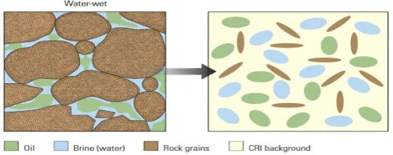 Figure 1.1.1: The textural model ﬁlled with water and oil (left). The representation ofthe textural model with random distribution of oblate ellipsoids(right)