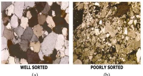 Figure 1.1.2: (a) Real well sorted media. (b) Real poorly sorted media. Image afterBoggs [20011].