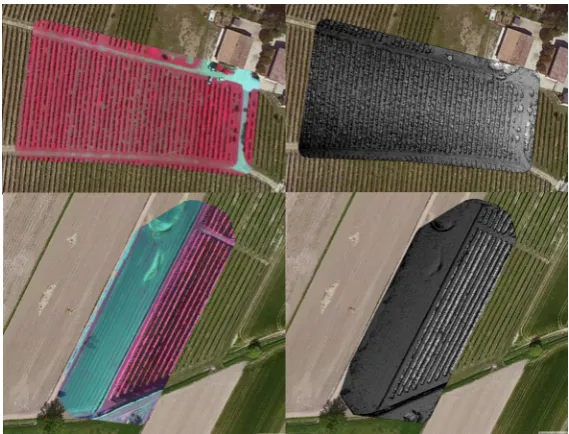 Figure 6. Left. Study area 1 Top: derived orthophoto of vineyard area with false color (left) and derivedDSM (right; black represents low height)