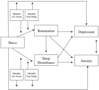 Figure 2. A proposed stress-buffering model of affective symptom development  