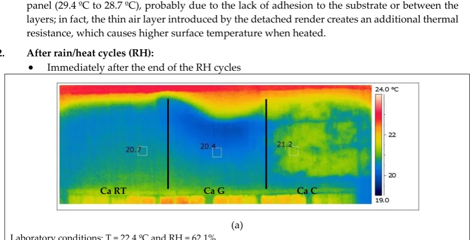 Figure 5.Thermograms and general aspect of the panels before cycles. 