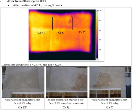 Figure 7. Thermograms and general aspect of the panels after FT cycles. 