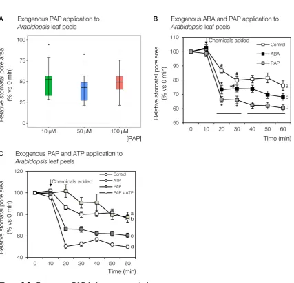 Figure 3.3: Exogenous PAP induces stomatal closureA0 min. Standard box plots are presented (n = 9-13 stomata): upper and lower hinges denote the ﬁrstand third quartiles, mid-band denotes the median, upper and lower whiskers denotes 1.5x interquartile Stoma