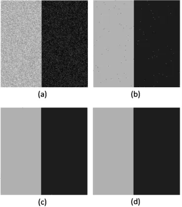 Fig.  3.  Segmentation  results  on  the  Synthetic  image.  (a)  image  corrupted  by  Gaussian  noise