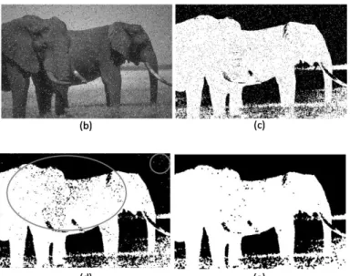 Fig.  7.  Segmentation  results  on  the  Elephant  image.  (a)  image  corrupted  by  Salt  &amp;  Pepper  noise