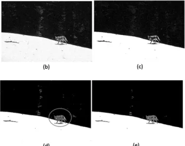 Fig. 8. Segmentation results on the Wolf image. (a) Original image. (b) image  corrupted by Gaussian noise
